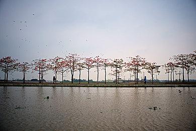 简单上头游戏《肉鸽地牢骑士》登陆Switch